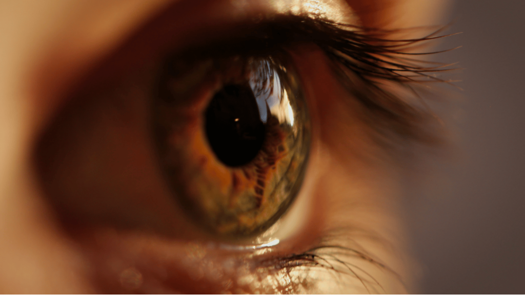 EMDR
